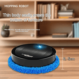 Intelligence Cleaning Robot